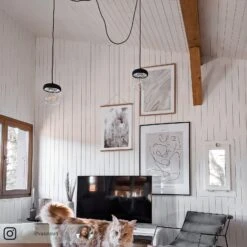 UMAGE Acorn Hängelampe 2fl Schwarz/stahl 2 UMAGE Acorn Hängelampe 2fl Schwarz/stahl -Umage 9521087 2