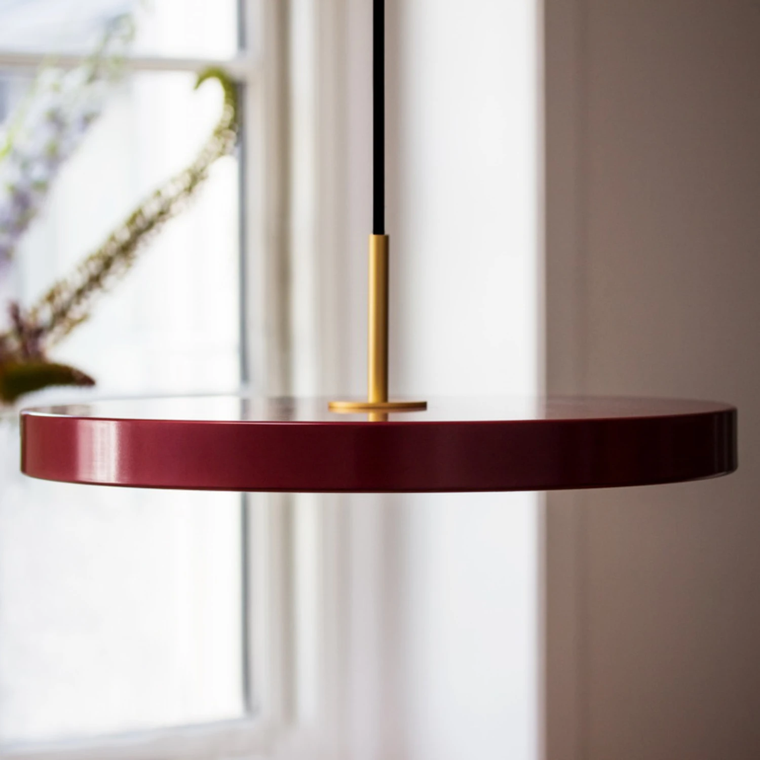 UMAGE Asteria mini Hängeleuchte messing rubinrot UMAGE Asteria Mini Hängeleuchte Messing Rubinrot -Umage 9521255 6